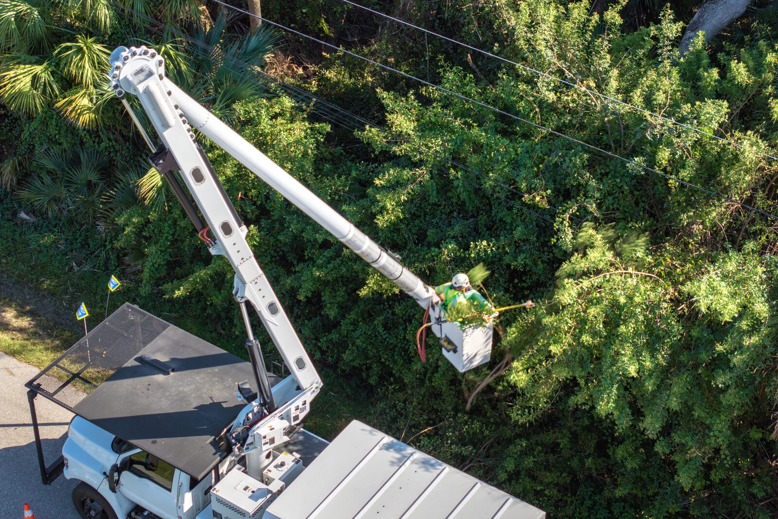 Worker trimming tree branches from an elevated bucket truck